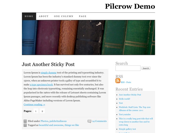 Pilcrow WordPress theme for photographers by Automattic