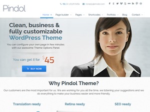 Pindol WP theme by Muffin group