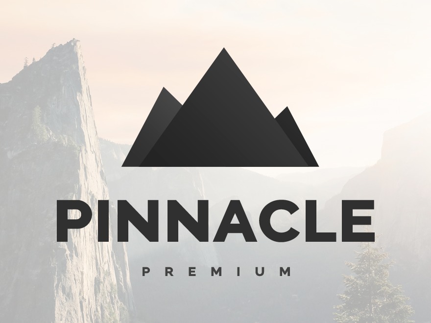 Pinnacle Premium WordPress store theme by Kadence WP