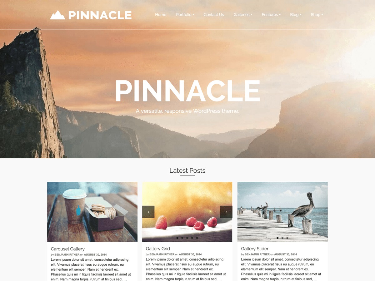 Pinnacle WordPress theme download by Kadence WP