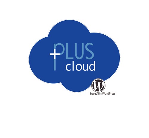 pluscloud premium WordPress theme