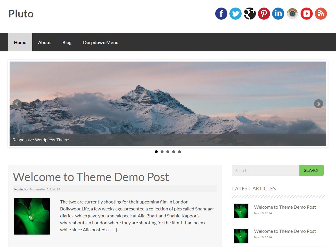 Pluto WordPress theme design