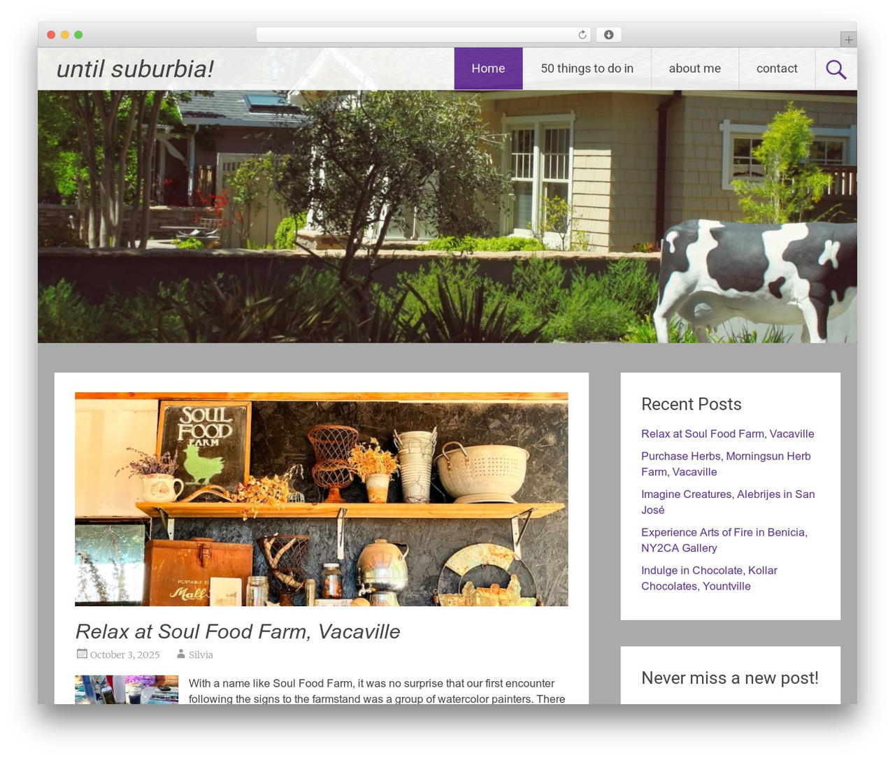 Radiate WordPress theme free download - untilsuburbia.com Radiate WordPress theme free download - untilsuburbia.com