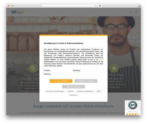Salient WordPress theme - meinungsmeister.de