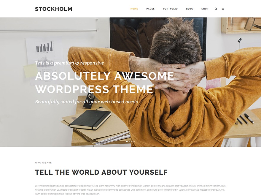 Stockholm best WordPress theme
