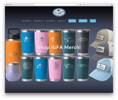 Sydney WordPress gaming theme - igfa.org