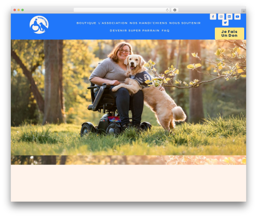 Sydney WordPress theme free download - handichiens.org