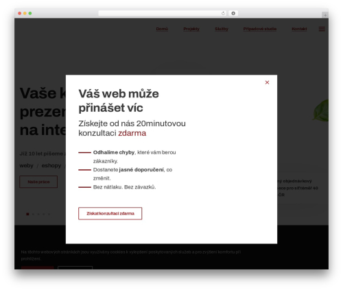 Theme WordPress Avada Child - posunemevasvys.cz