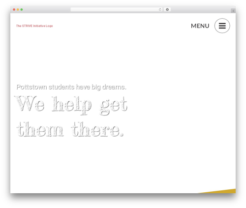 Theme WordPress Avada Child - striveinitiative.org
