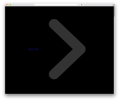 Theme WordPress Bricks - shanebarker.com
