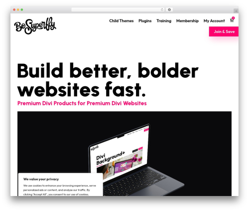 Theme WordPress Divi - besuperfly.com