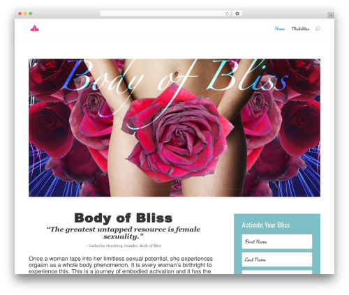 Theme WordPress Divi - thebodyofbliss.com