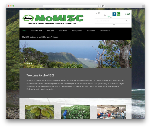 Theme WordPress Executive Pro Theme- KISC - molokaiisc.org