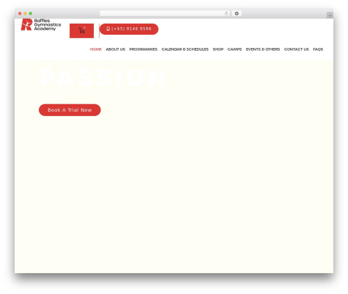 Theme WordPress Hello Elementor - rafflesgymnastics.com