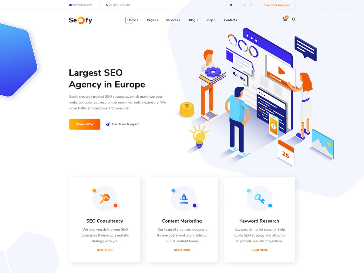 Theme WordPress Seofy