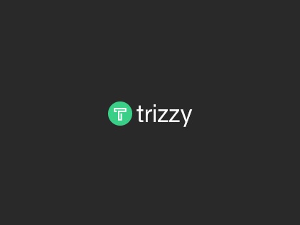 Trizzy WordPress ecommerce theme