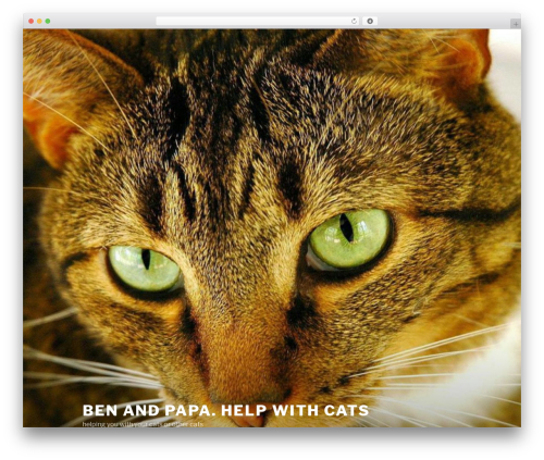 Twenty Seventeen best free WordPress theme - detski.us