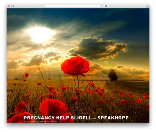 Twenty Seventeen best free WordPress theme - crisispregnancyhelp.org