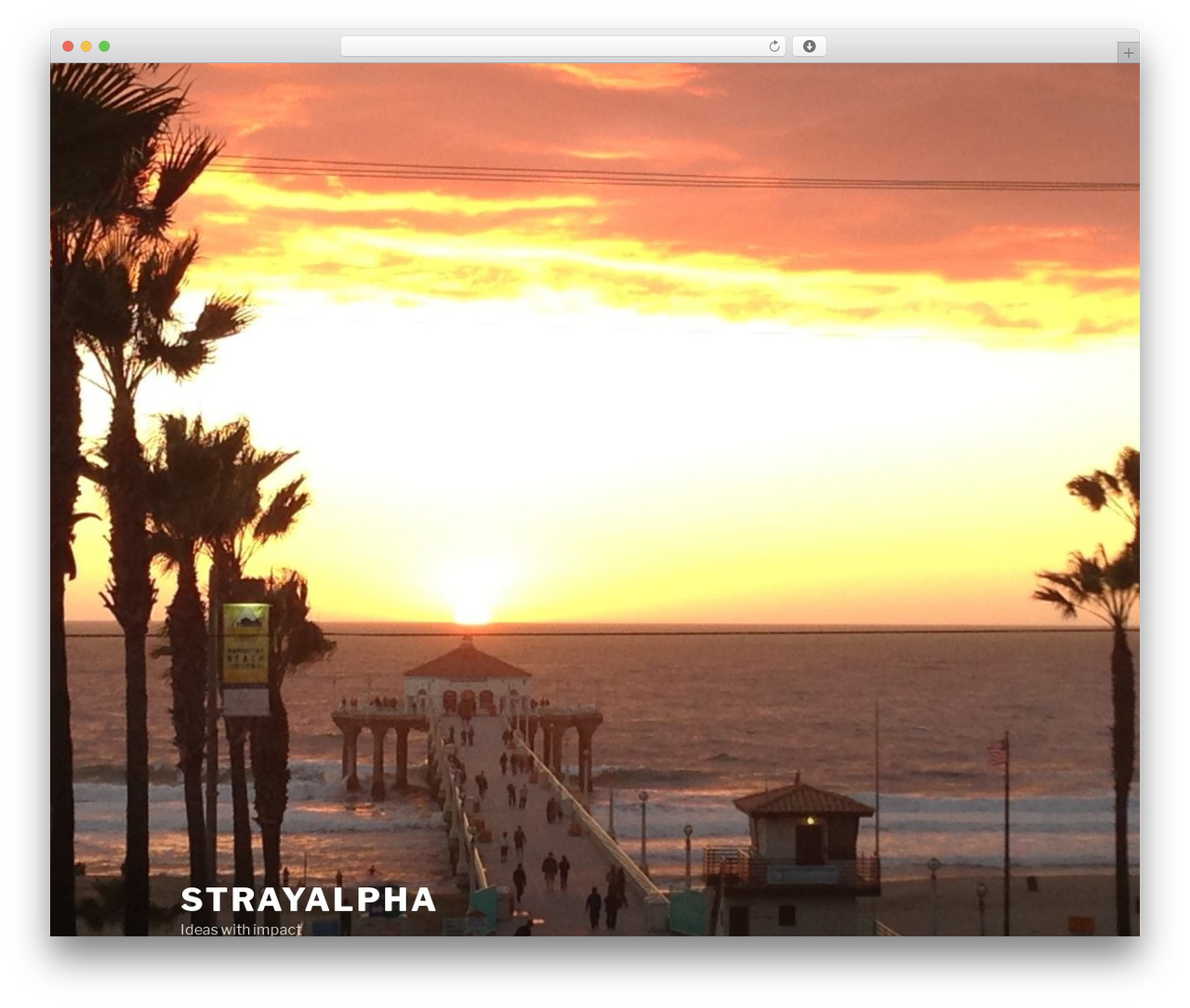 Twenty Seventeen free WordPress theme - strayalpha.com Twenty Seventeen free WordPress theme - strayalpha.com