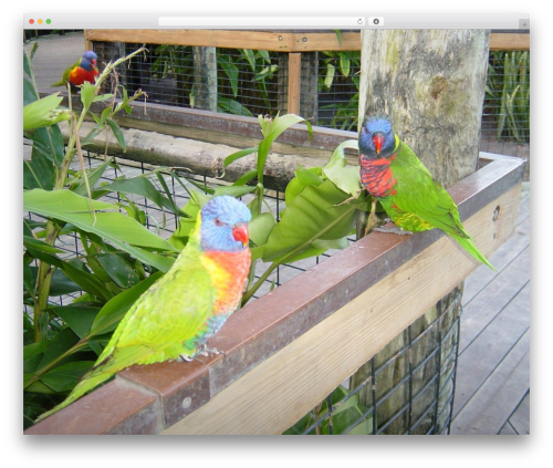 Twenty Seventeen free WordPress theme - twinexus.com