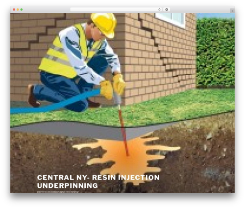 Twenty Seventeen free WP theme - centralnytreeremoval.com