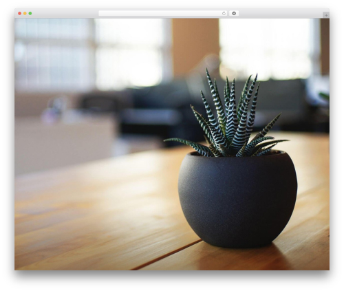 Twenty Seventeen free WP theme - visngroup.com