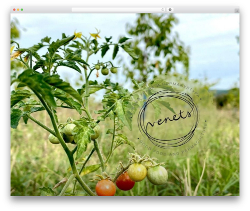 Twenty Seventeen premium WordPress theme - venets.co