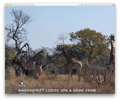 Twenty Seventeen theme WordPress - wagondrift.co.za