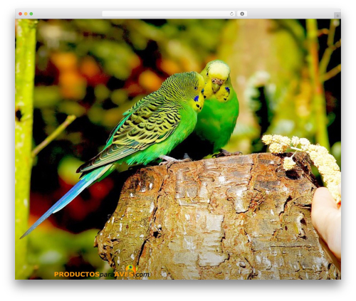 Twenty Seventeen WordPress theme design - productosparaaves.com