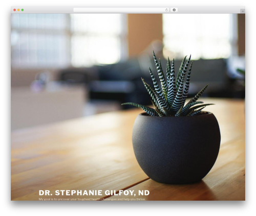 Twenty Seventeen WordPress theme free download - madisonctnaturopath.com