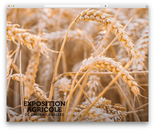 Twenty Seventeen WordPress theme free download - expocalixa.com