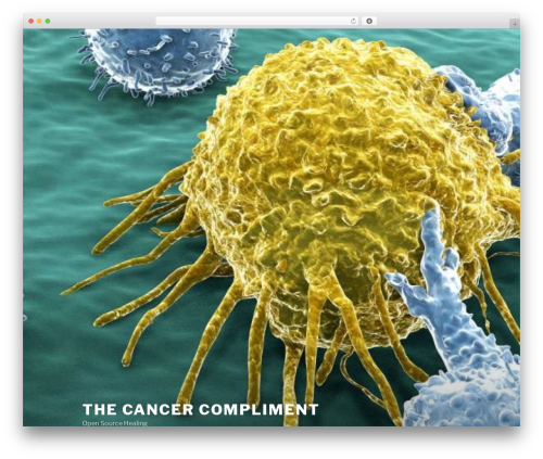 Twenty Seventeen WordPress theme - cancercompliment.org
