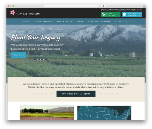 TY best WordPress theme - tynursery.com