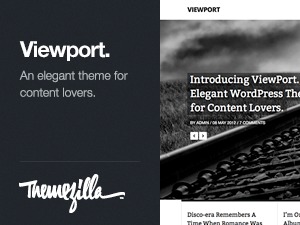 Viewport best WordPress theme