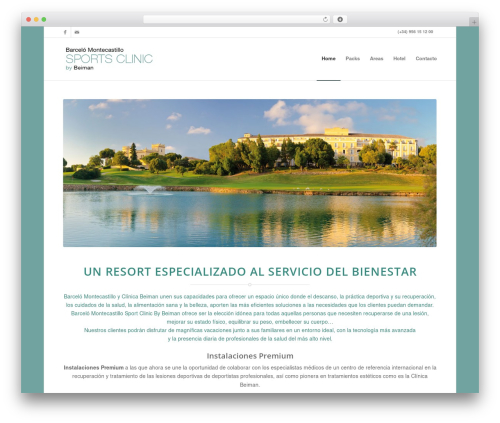 WordPress theme Enfold - barcelosportsclinicbeiman.com