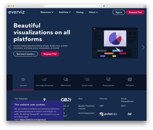 WordPress theme Hello Elementor - everviz.com