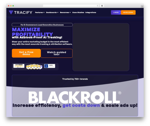 WordPress theme Hello Elementor - tracify.ai