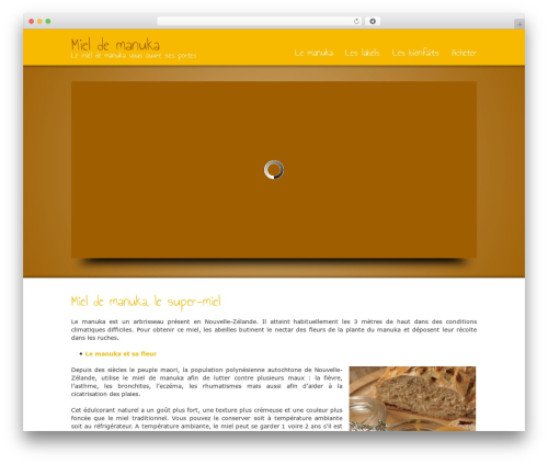 WordPress theme Striking - miel-manuka.info