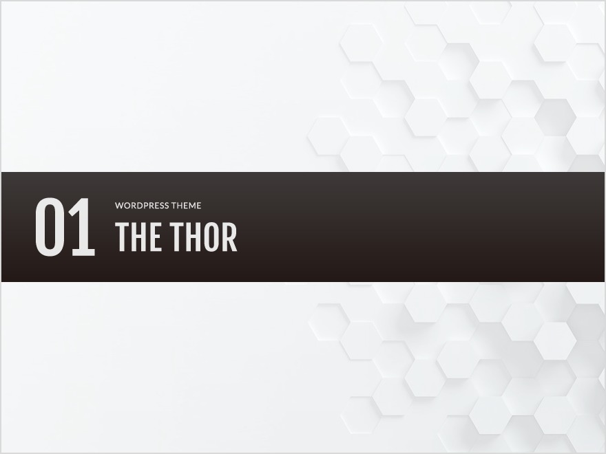 WordPress theme THE THOR