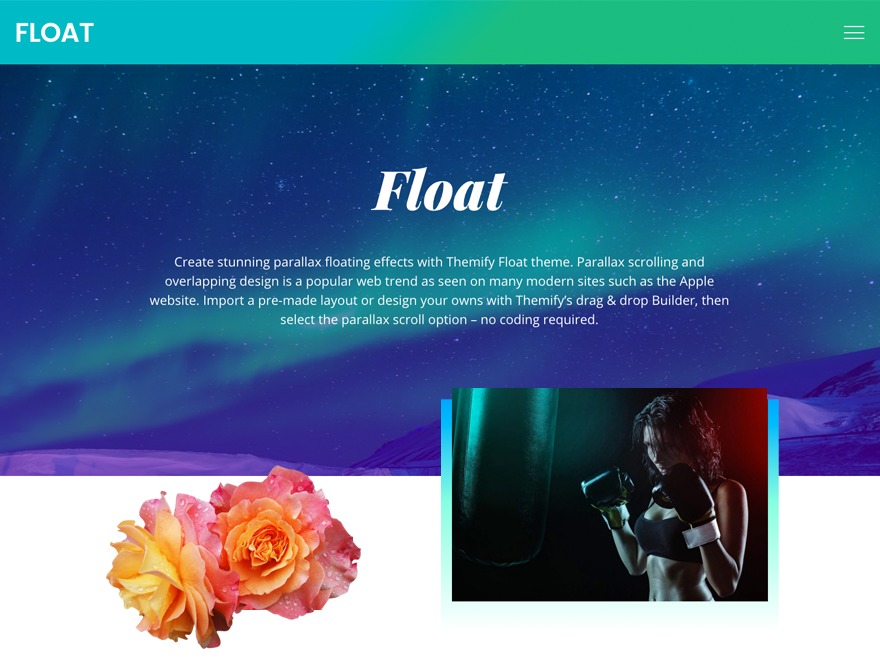 WordPress theme Themify Float