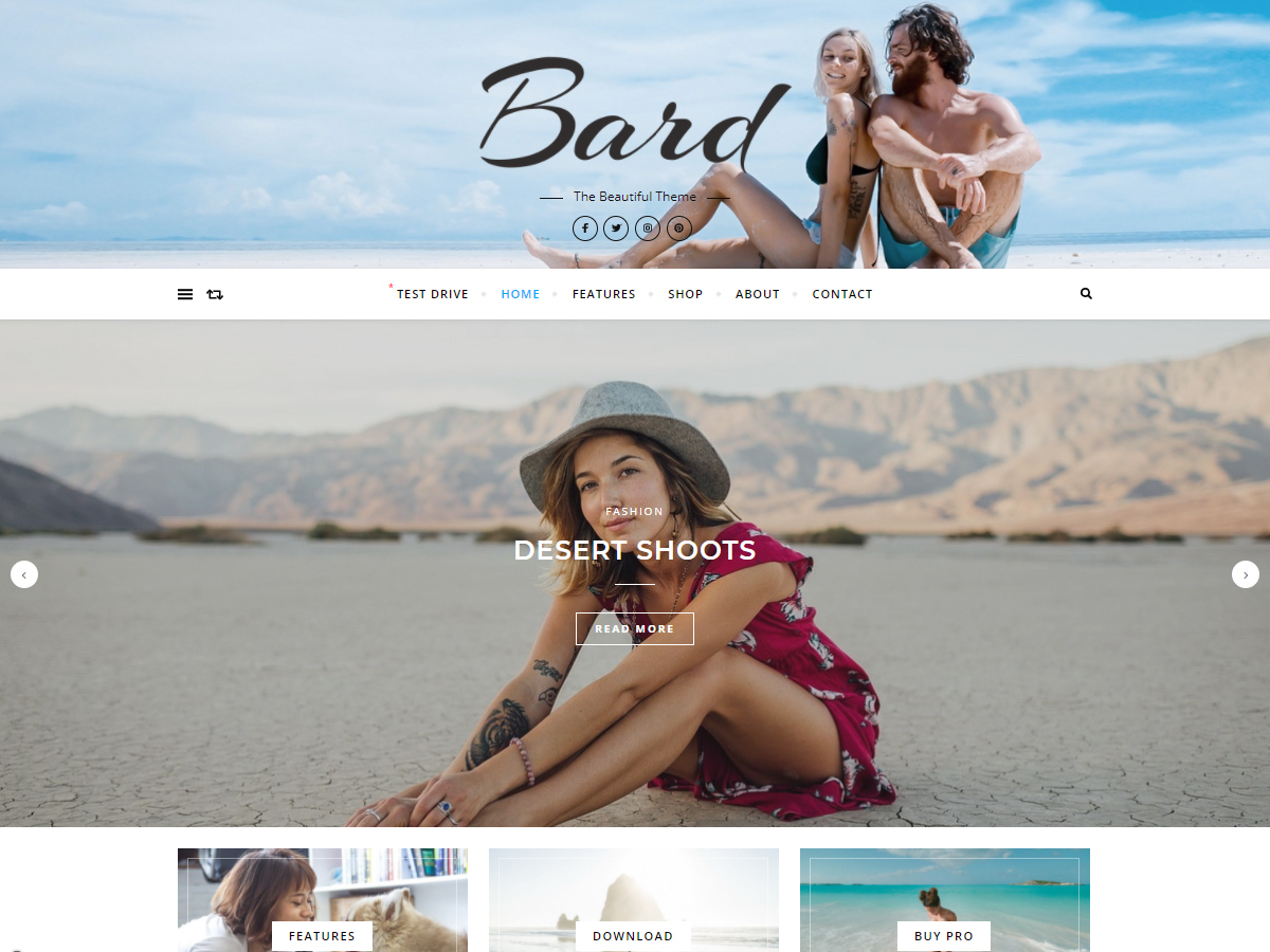 WordPress theme BARD