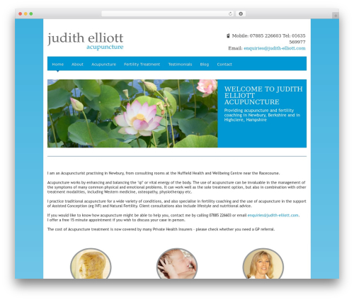 WordPress theme BlackBird Pro Responsive Theme - judith-elliott.com