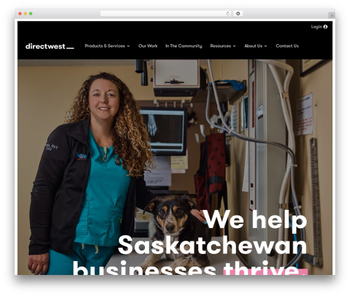 WordPress theme Directwest - directwest.com