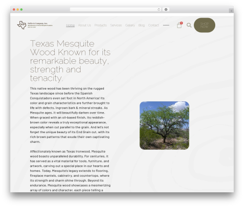 WordPress theme Hello Elementor - mesquitefloors.com