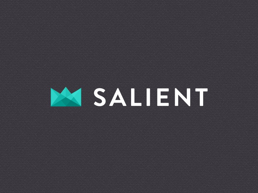 WordPress theme Salient by ThemeNectar