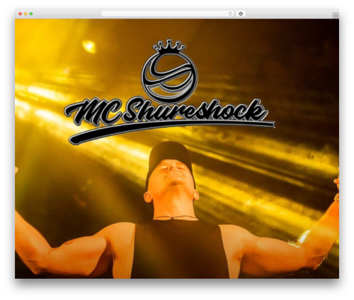 WordPress theme Twenty Seventeen - mcshureshock.com