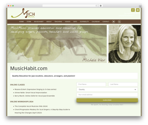 WordPress website theme Avada - michmusic.com