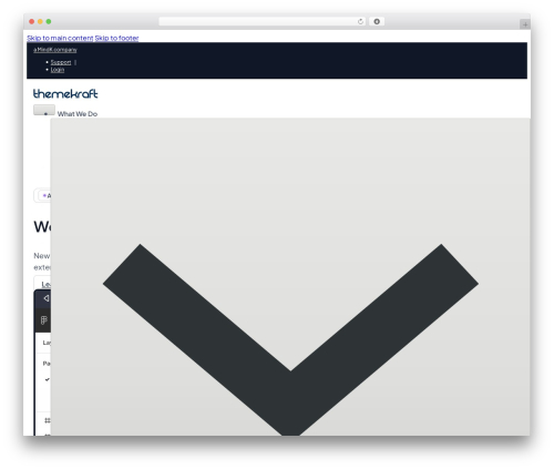 WordPress website theme Bricks - themekraft.com