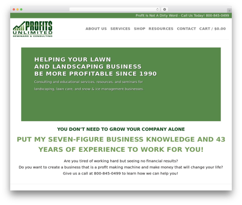 WordPress website theme Flatsome - profitsareus.com