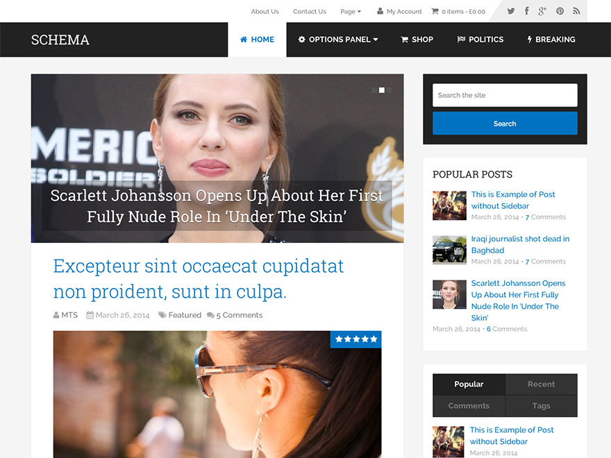 WordPress website theme Parent Theme